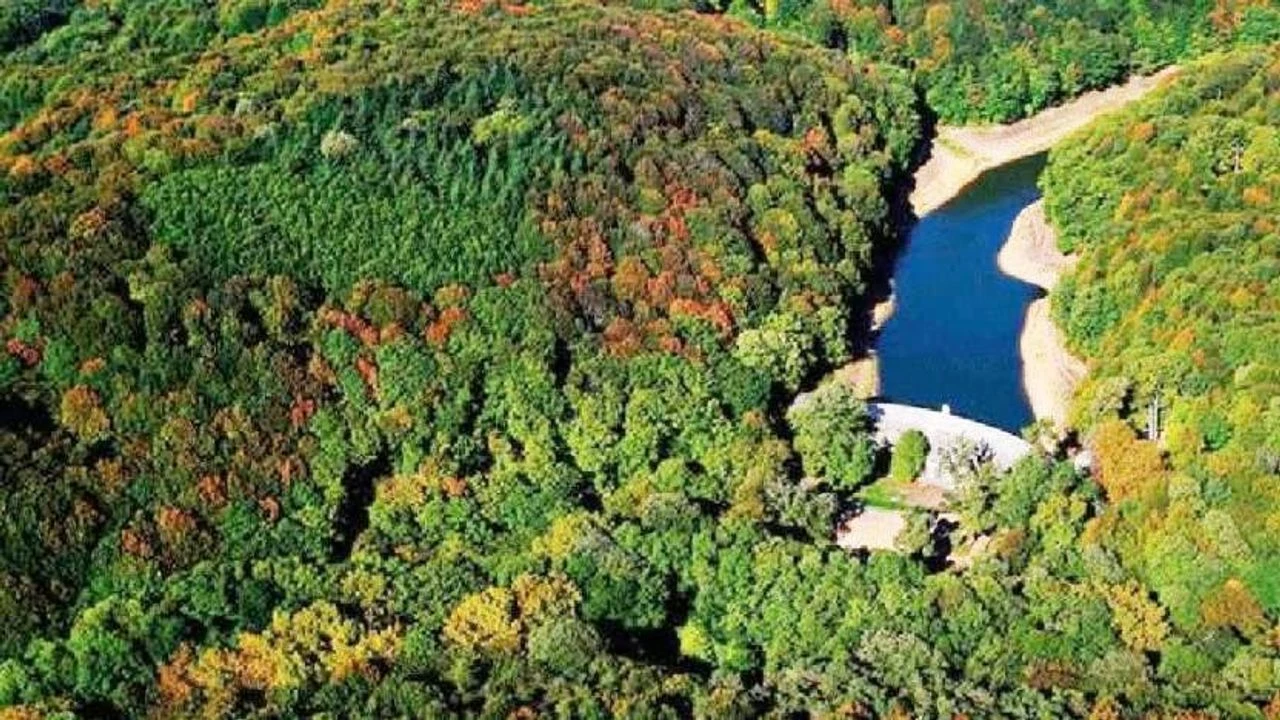 bahcekoy-belgrad-ormani.webp