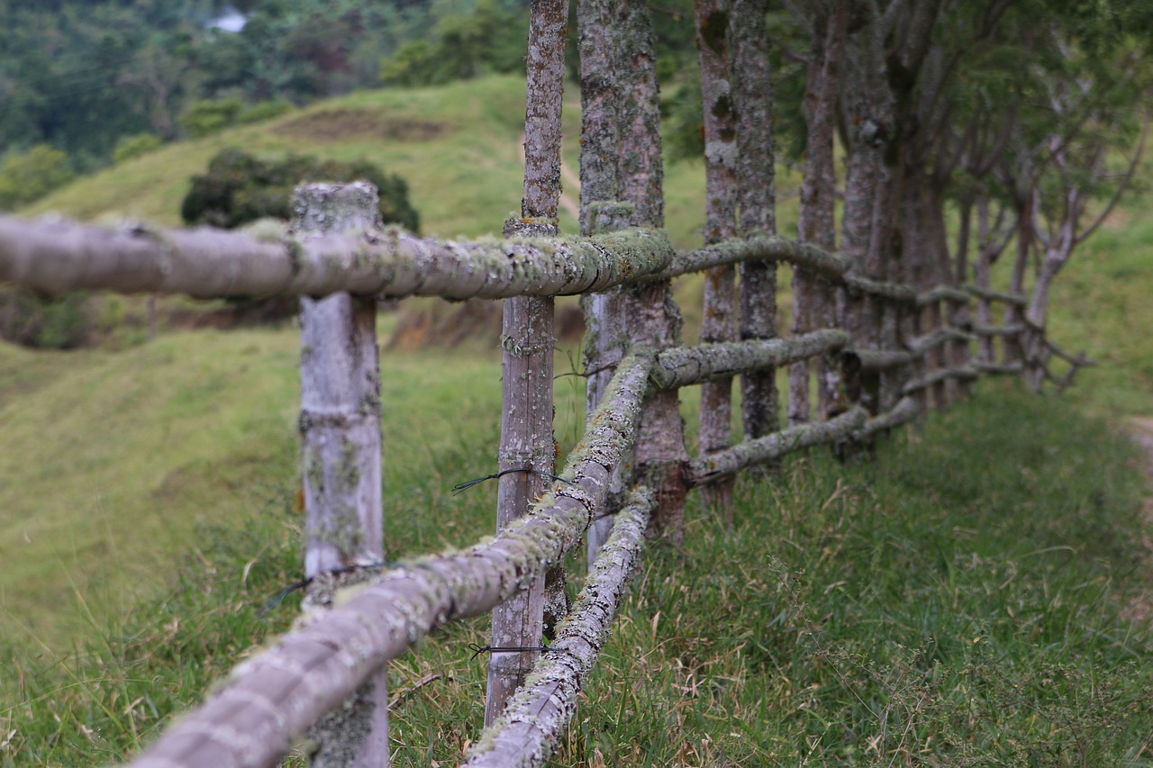 fence-5502380-1280.jpg