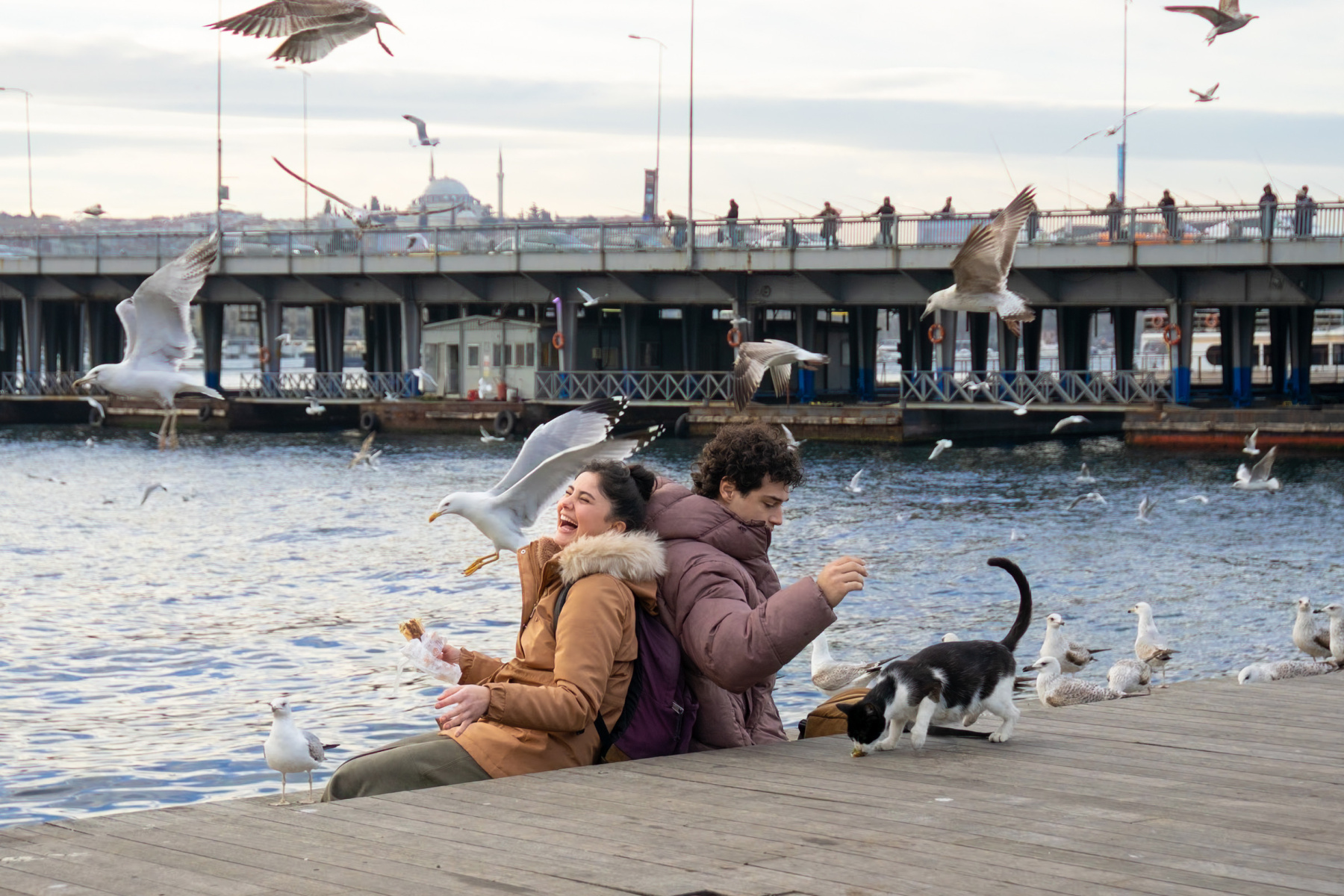 istanbul-ansiklopedisi-gorsel.jpg