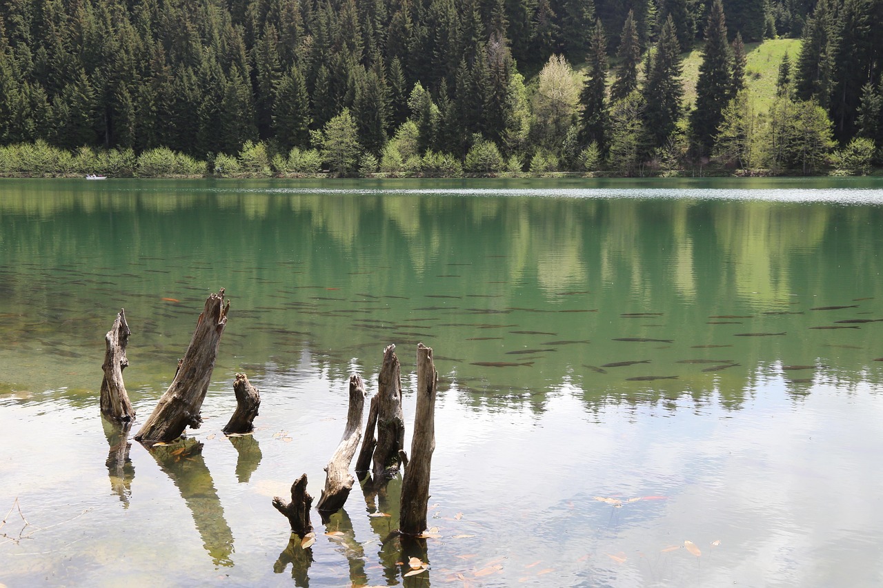 landscape-3910320-1280.jpg