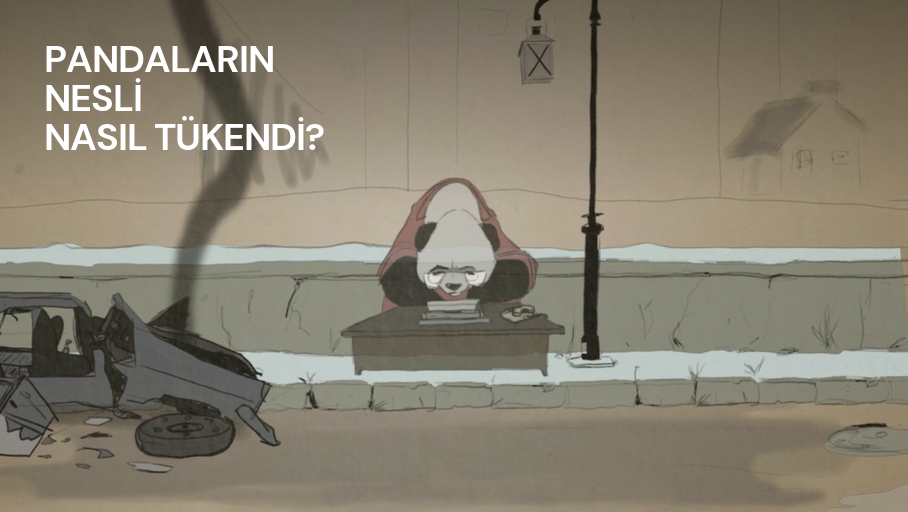 pandalarin-nesli.png