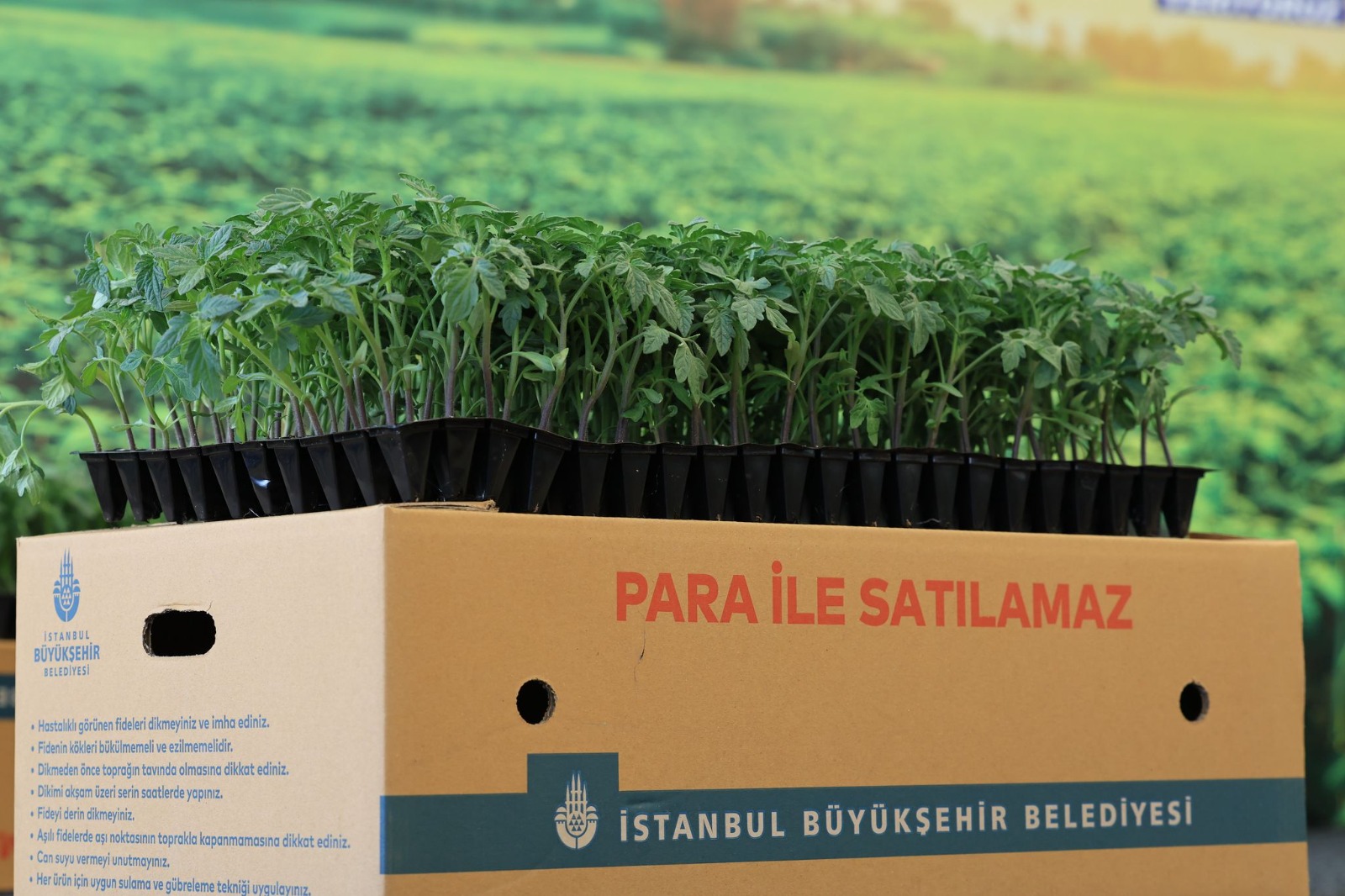bbnin-istanbullu-ciftcilere-verdigi-karsiliksiz-destek-artarak-devam-ediyor-8.jpeg