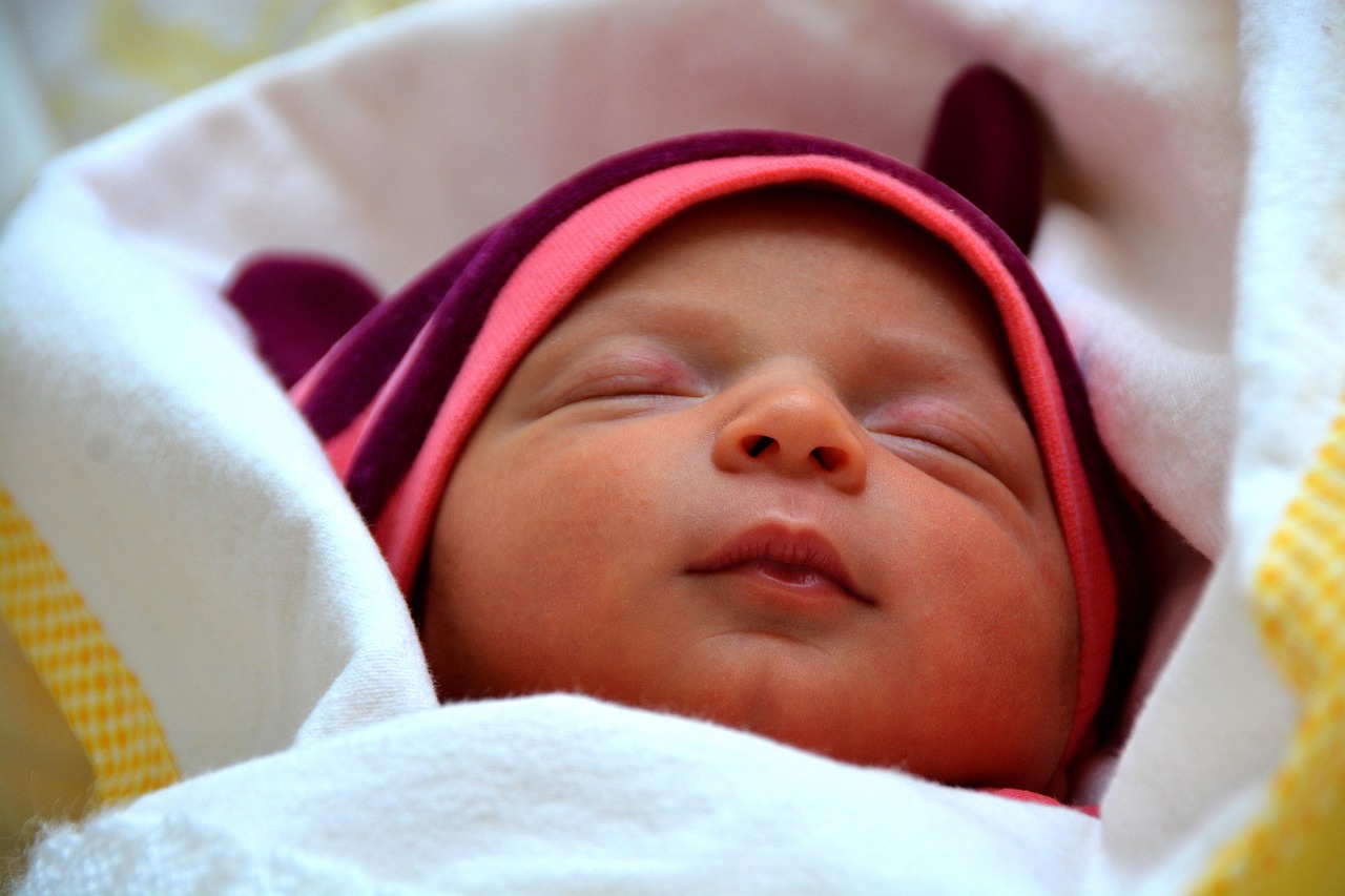 laurel-883383-1280.jpg