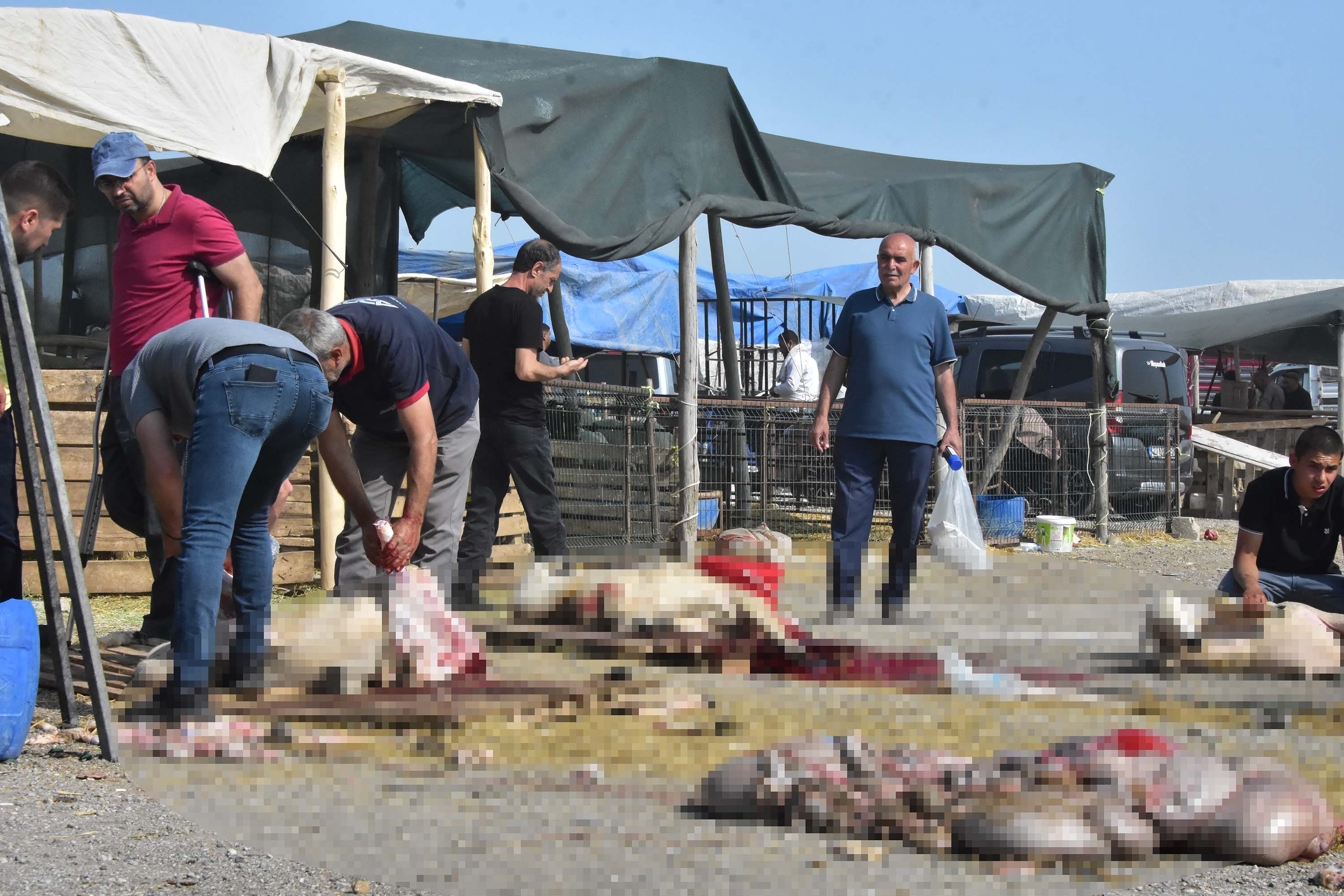 konyada-izinsiz-kurban-pazarinda-kacak-753278-222323.jpg