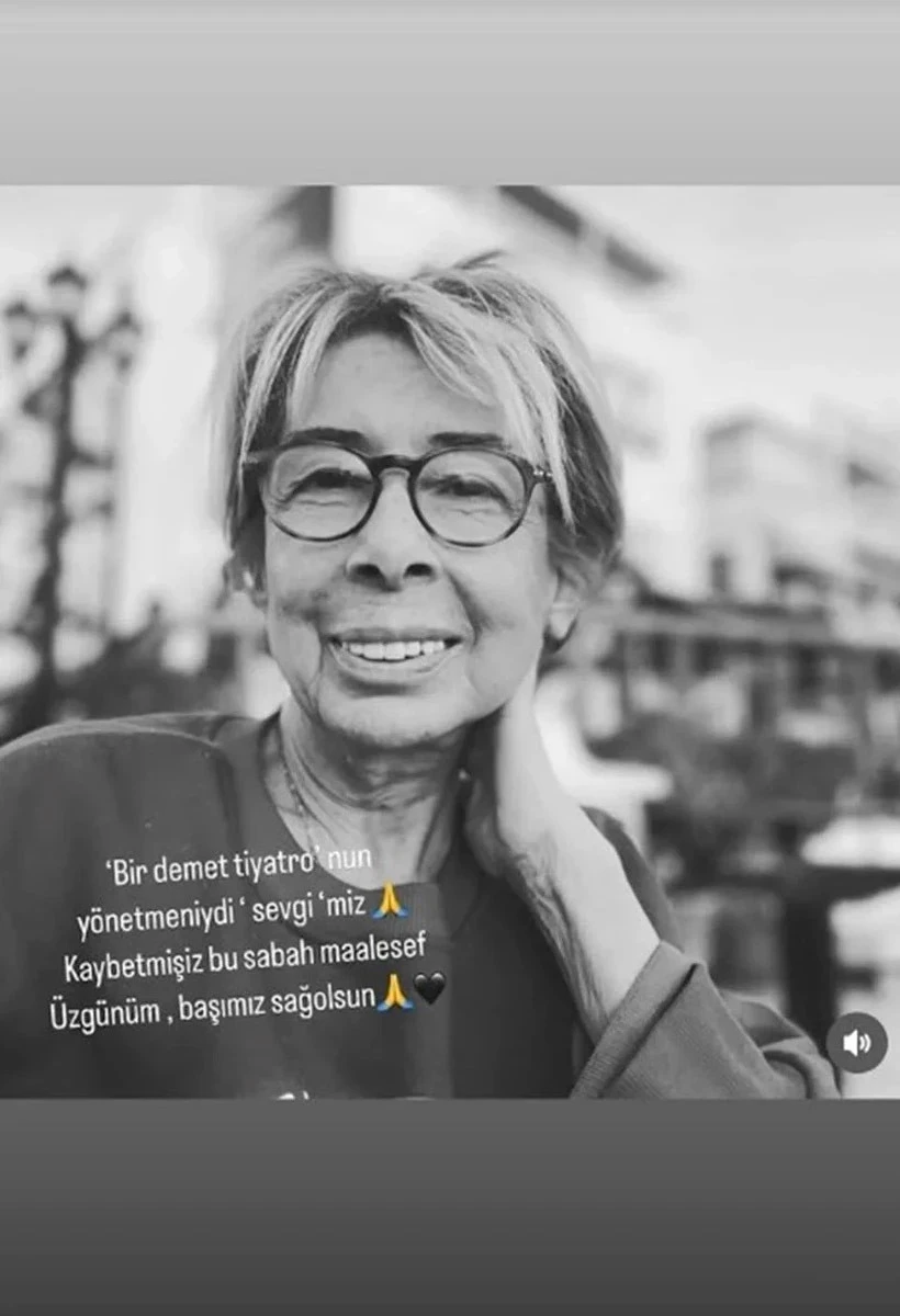 demet-4vsi.webp