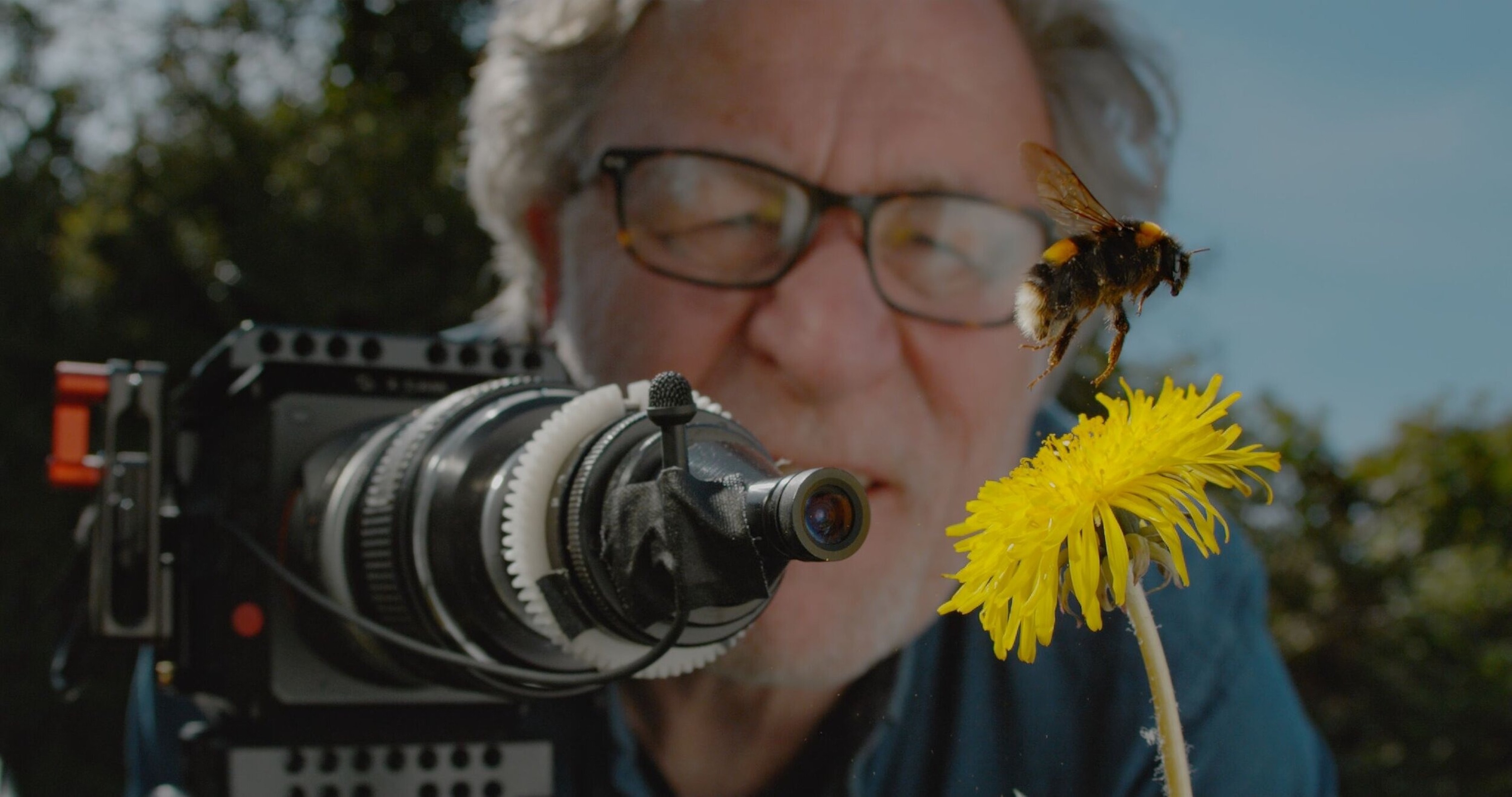 1750921523-my-garden-of-a-thousand-bees-bin-ar-l-bah-em-2021-filminden-bir-kare.jpg