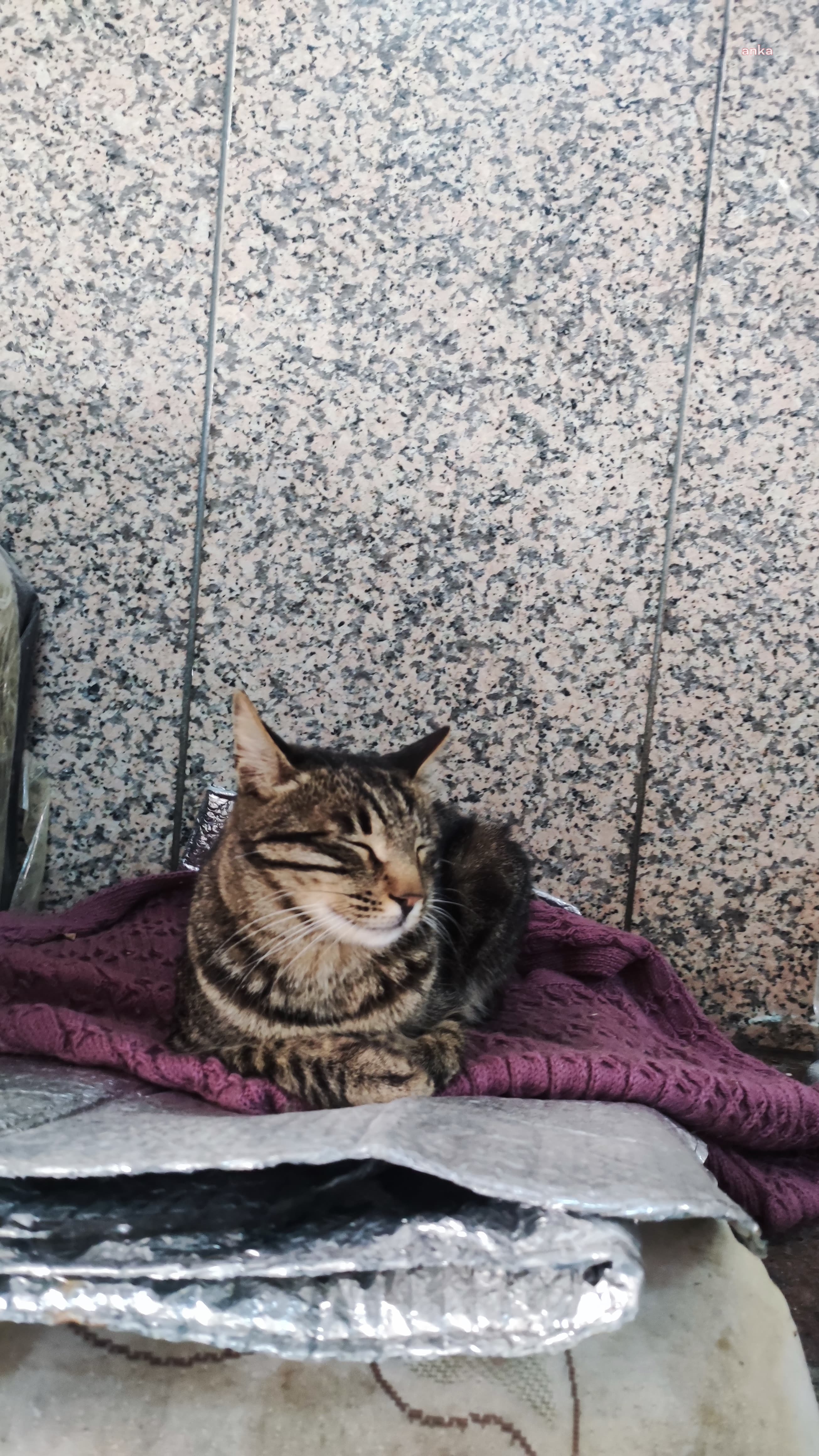 3b44d66f-5b44-4a5f-973d-9c15e9df9069-w.jpeg