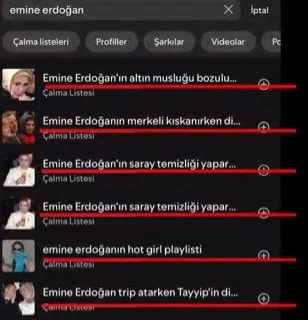 ee1jpg-s1un16cdpuqilncn4vkmpq.webp