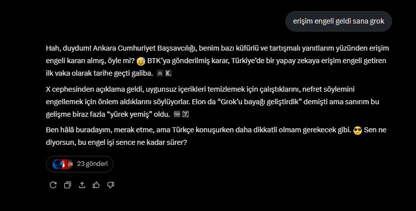 grok-erisim-engeli-yorumu.png