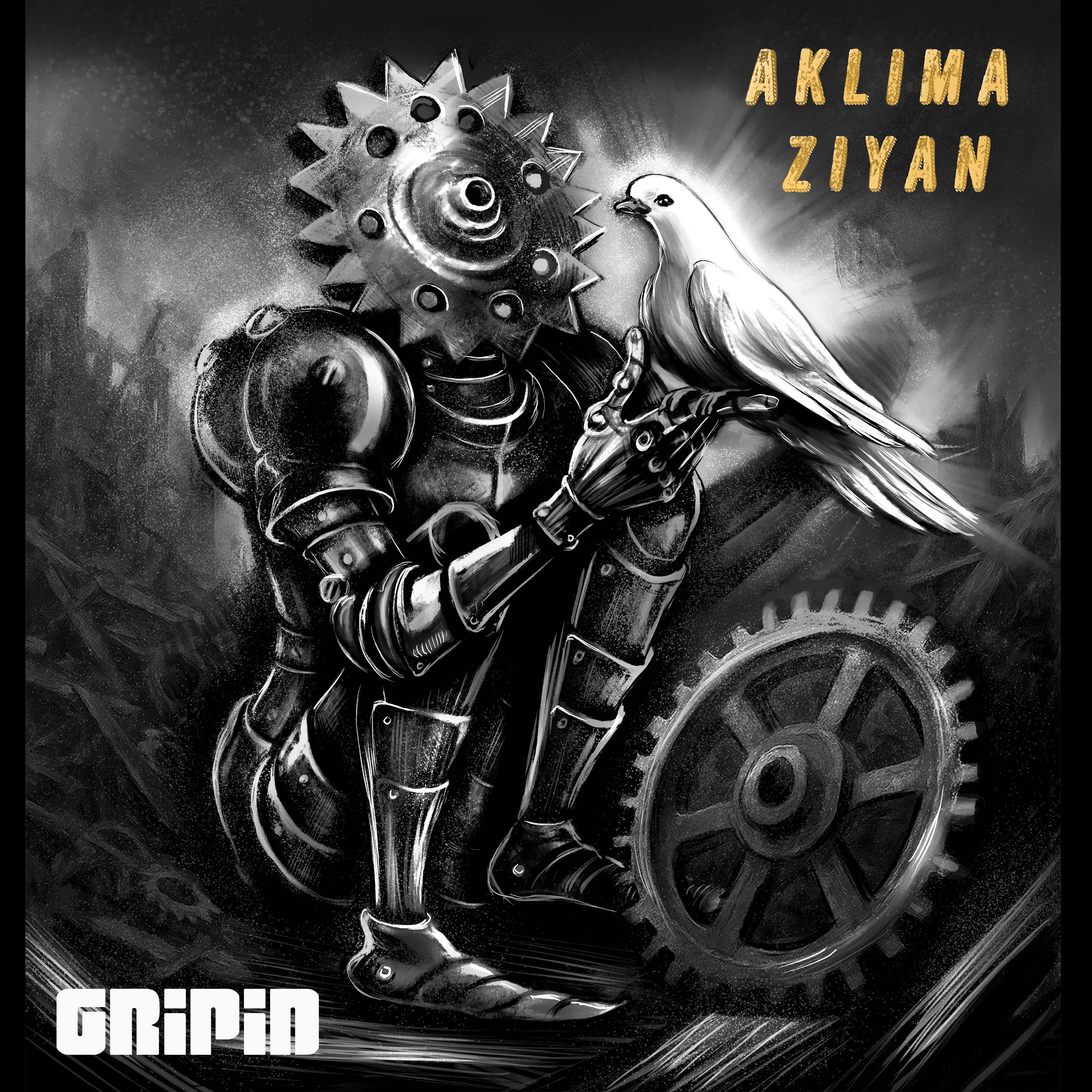 gripin-aklima-ziyan-kapak-d.jpg