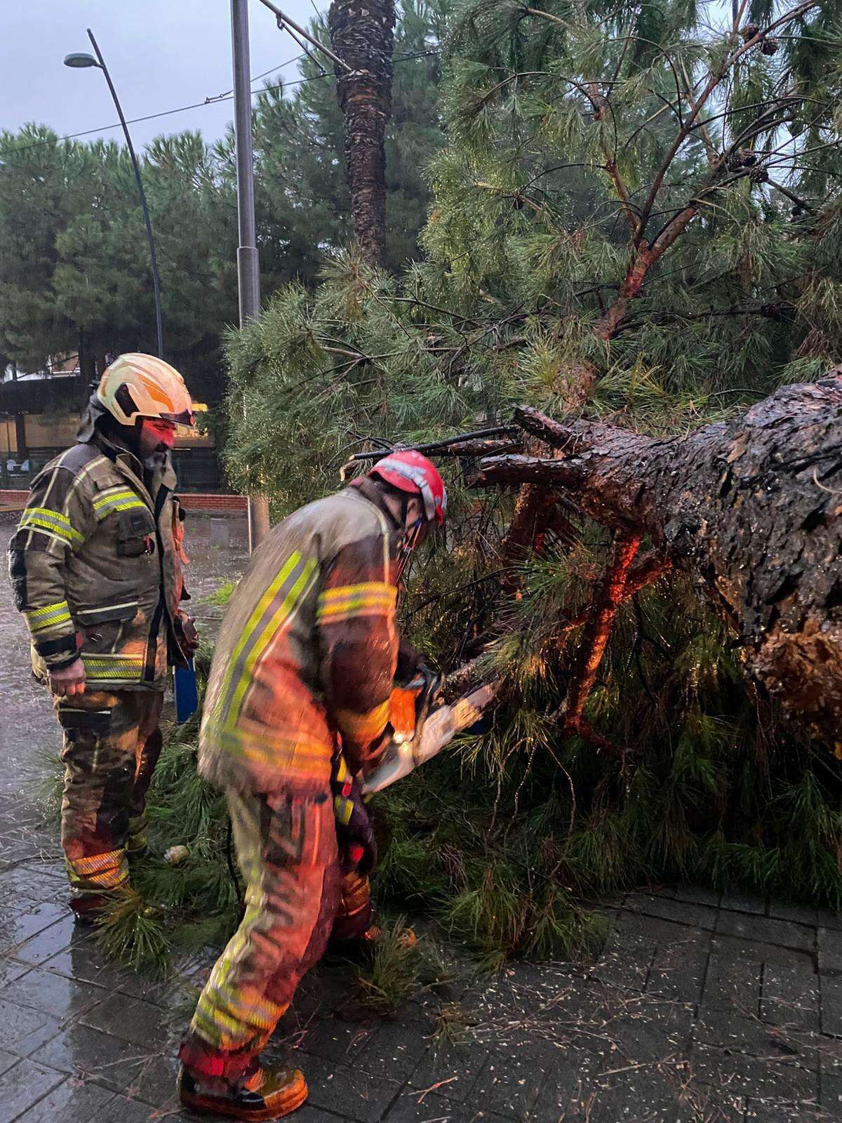 8-01-2026-d401f373-27a5-4994-a54f-2da500a4a0aa