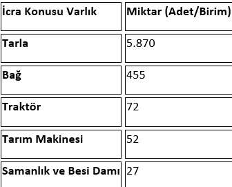 whatsapp-image-2026-01-09-at-08-56-48