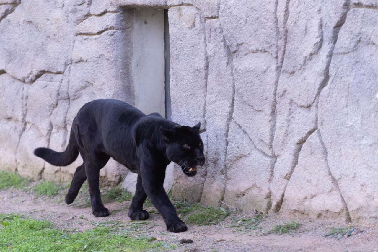 13-01-2026-3a8804ed-f500-4043-bfa3-04cc0007395a