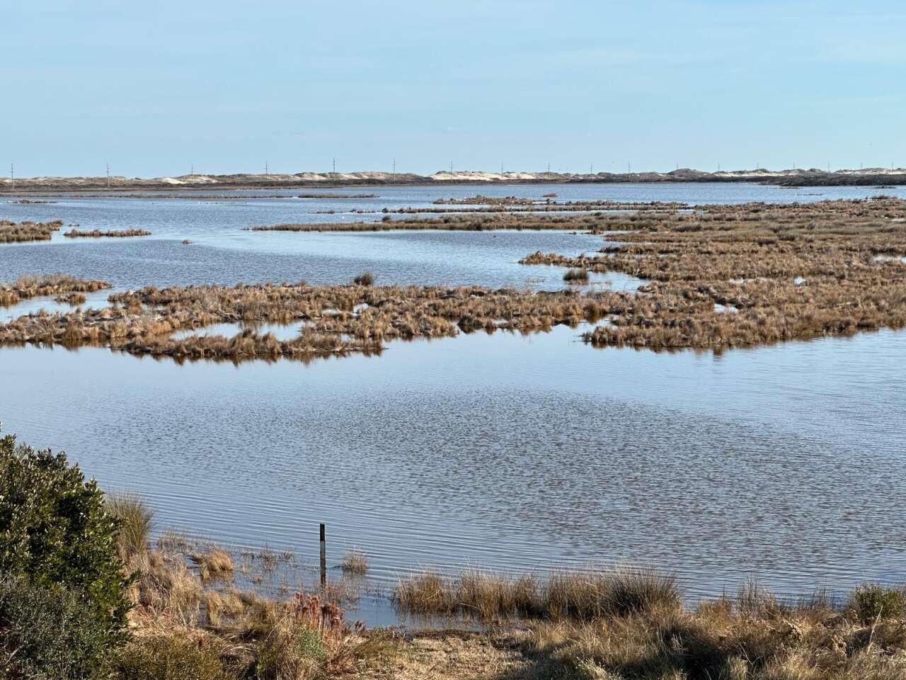 pea-adasi-ulusal-yaban-hayati-koruma-bolgesi4