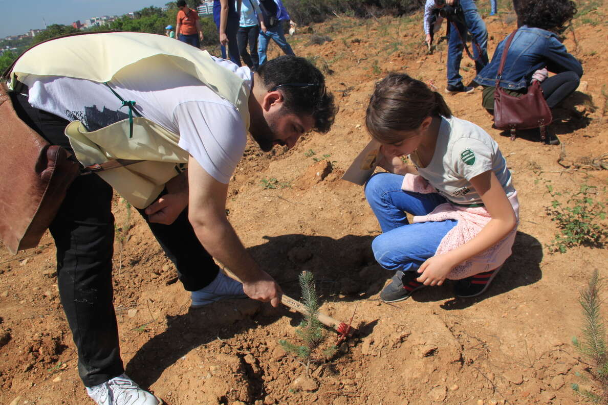 cekul-fidan-dikimi01-151656763