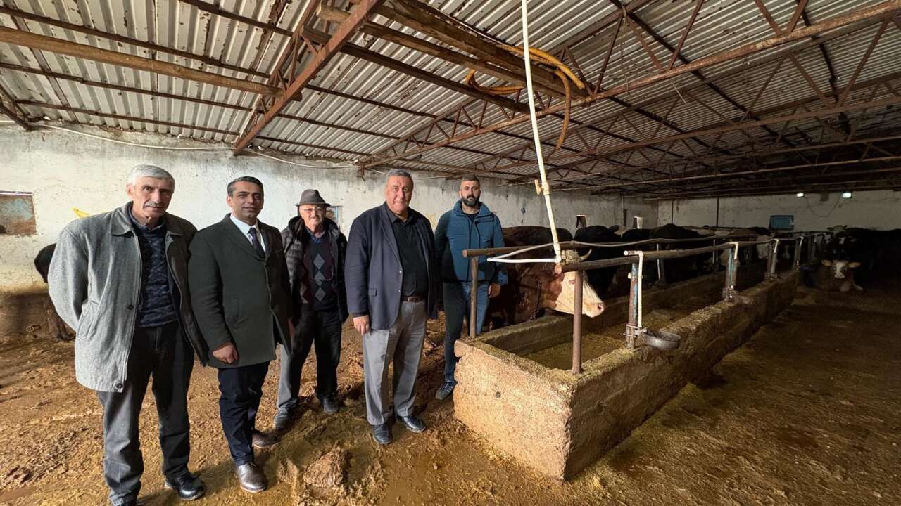 whatsapp-image-2026-01-28-at-09-11-25