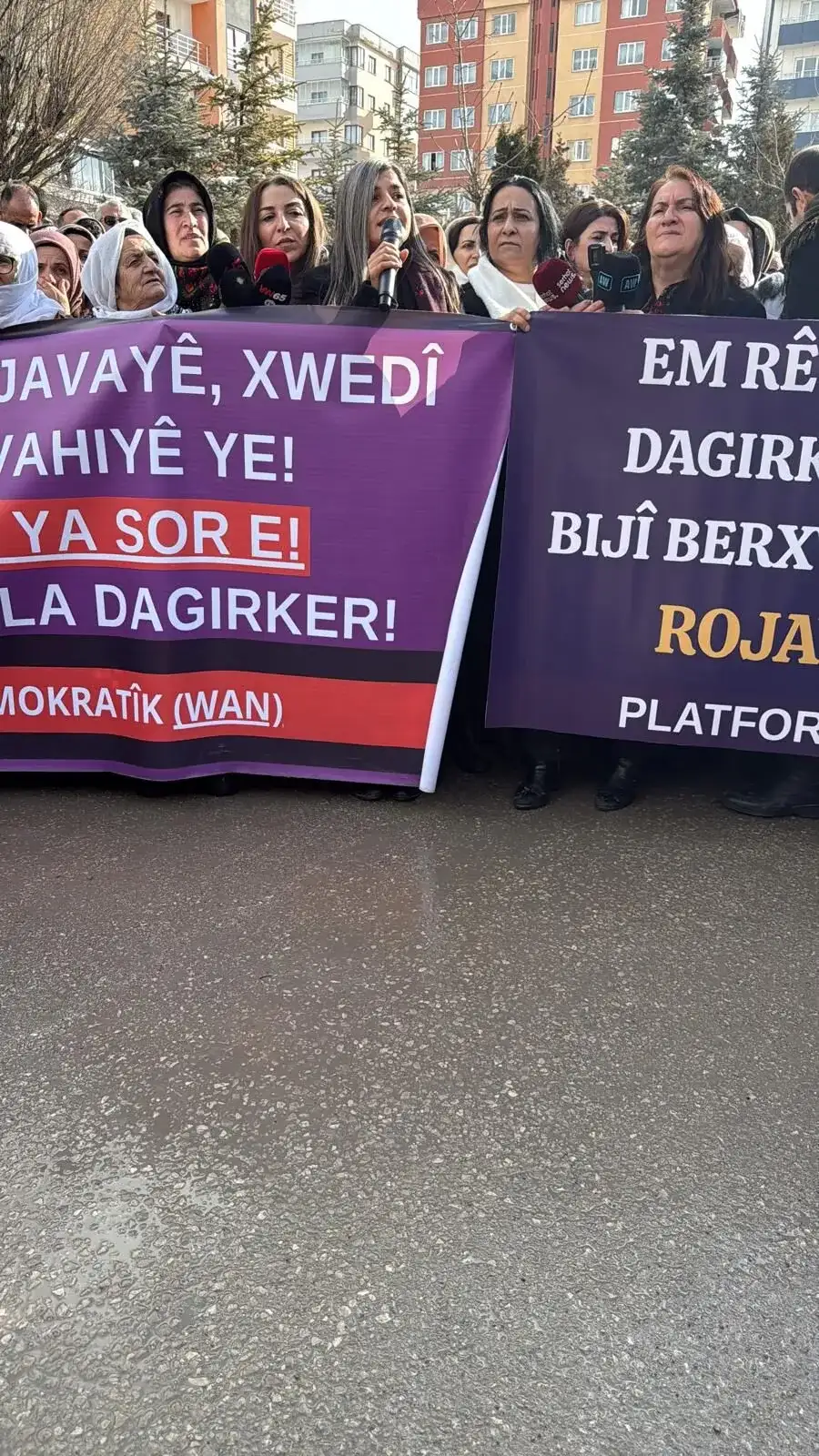 whatsapp-image-2026-01-29-at-160807