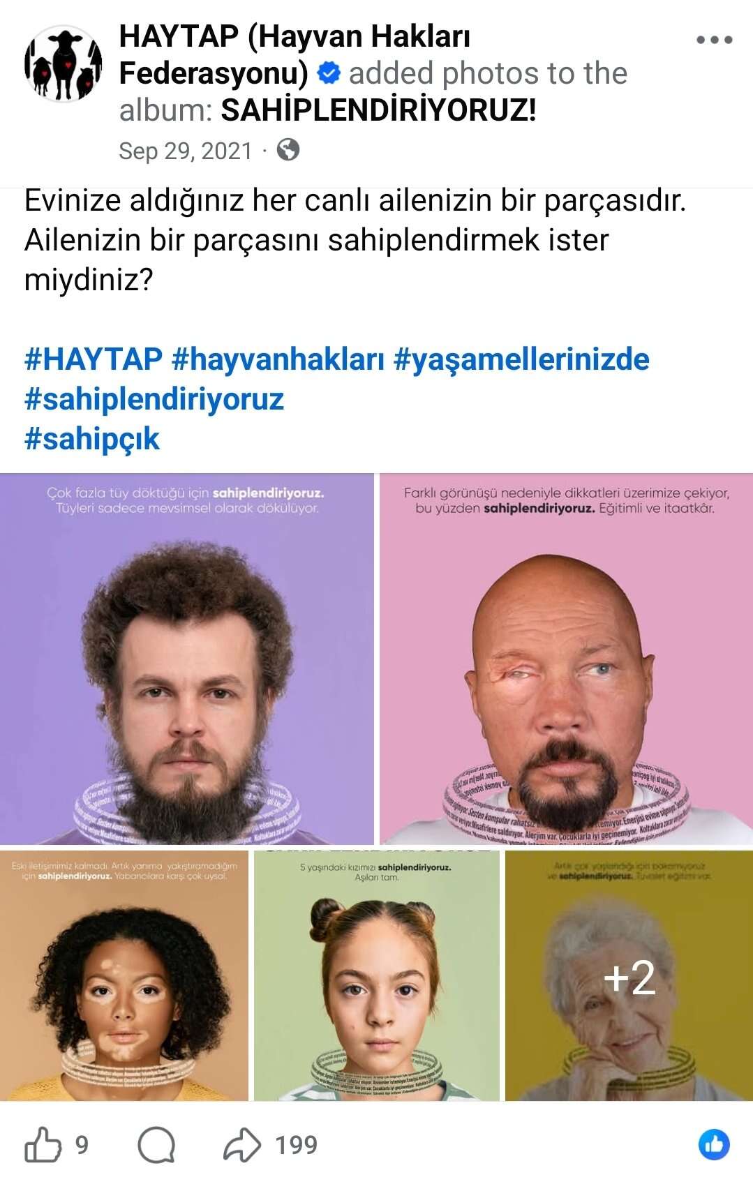 haytap