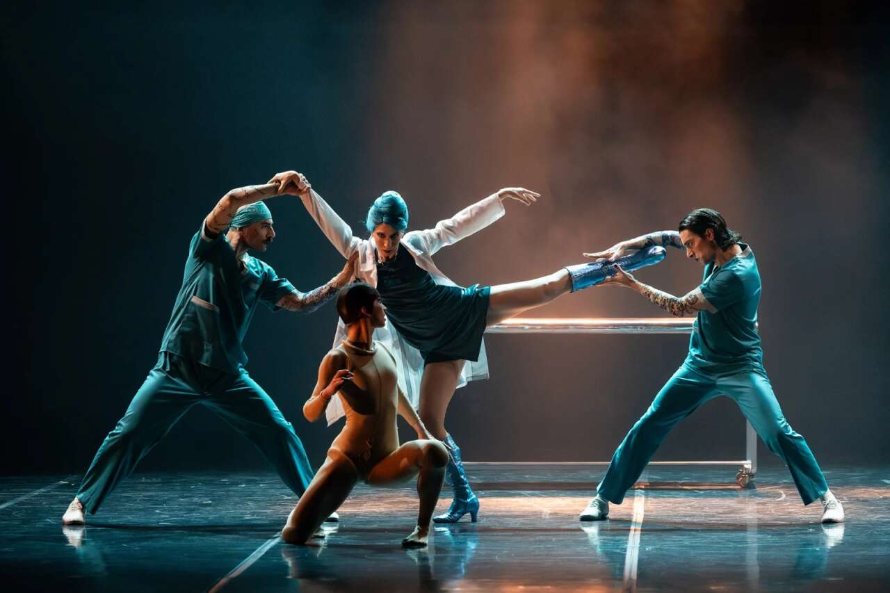 whatsapp-image-2026-02-06-at-18-54-53