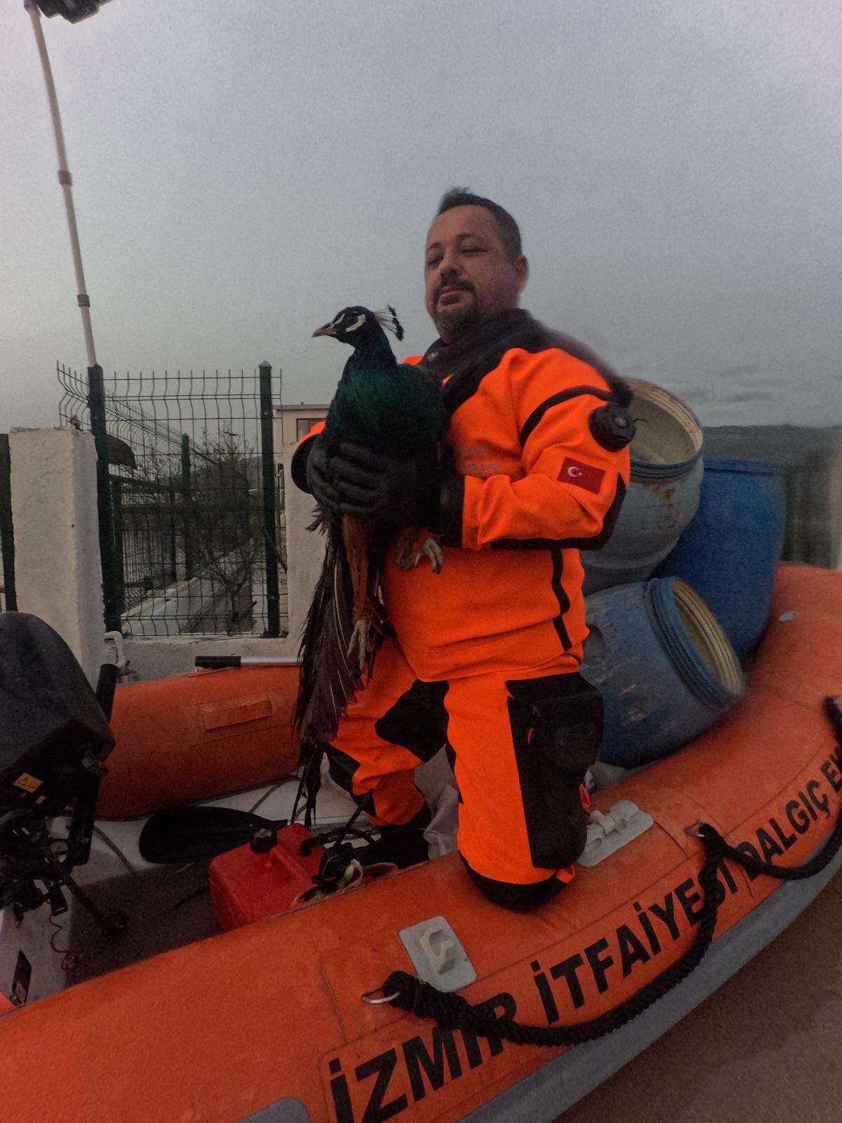 15-02-2026-fecddd76-9f4f-4f29-8813-057314722316