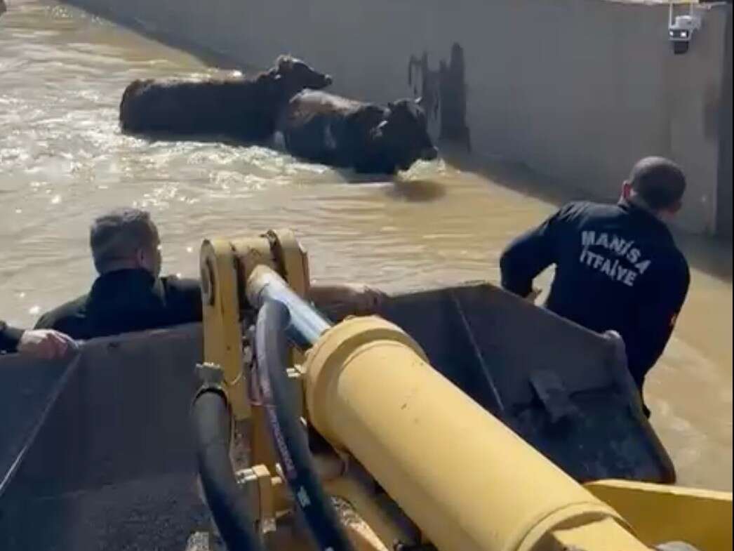 manisa-buyuksehir-seferber-44-vatandas-ve-127-hayvan-tahliye-edildi-5