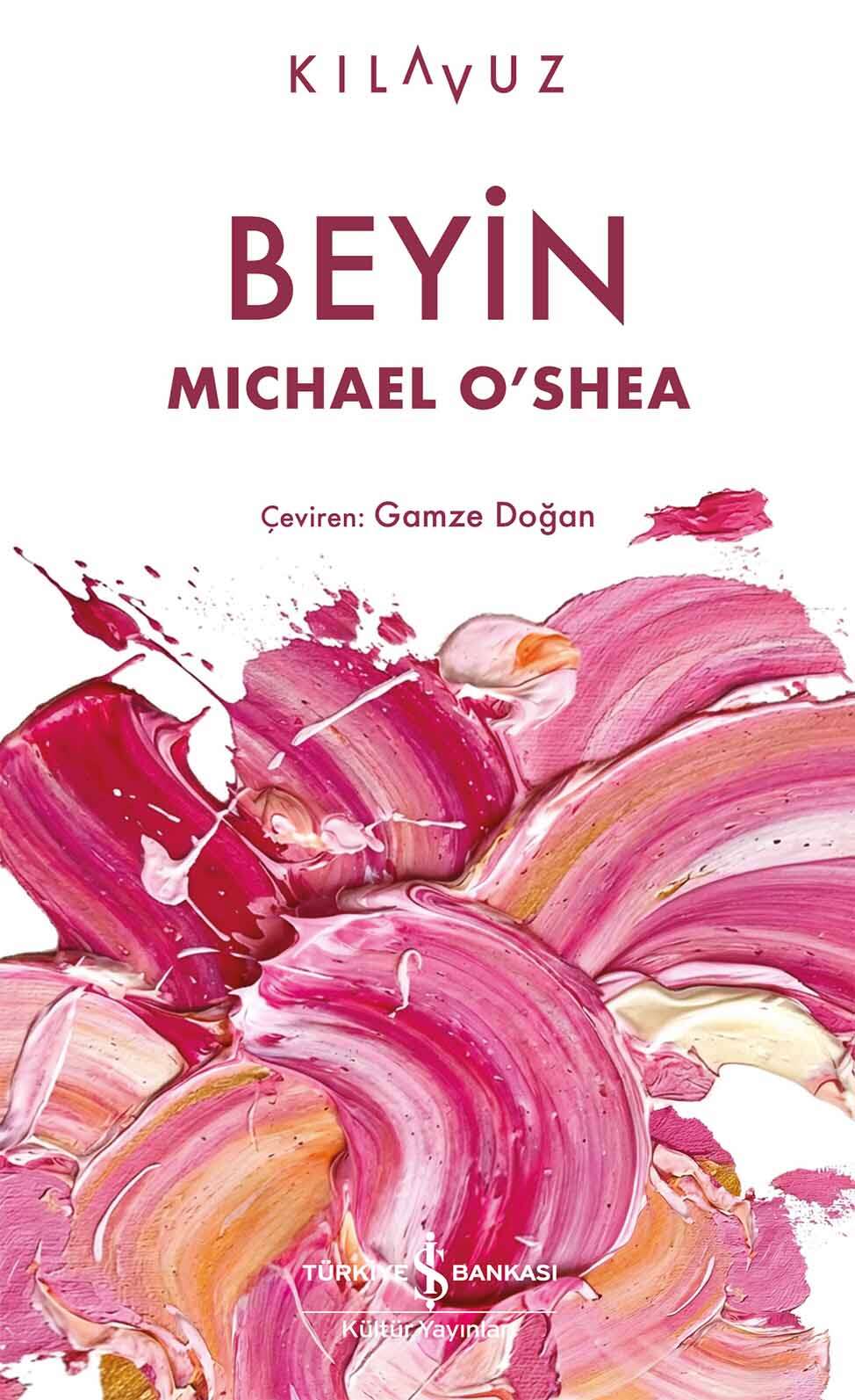 1771323127-iskultur-beyin