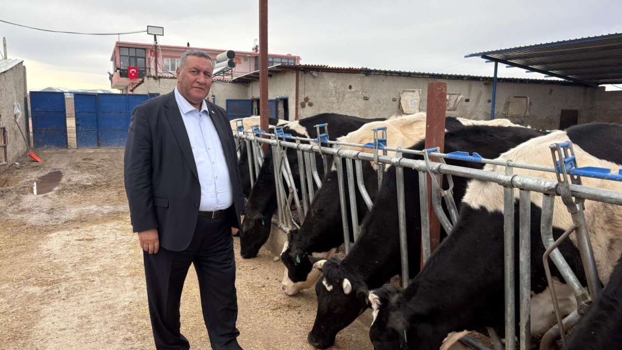 whatsapp-image-2026-02-19-at-08-47-44-1