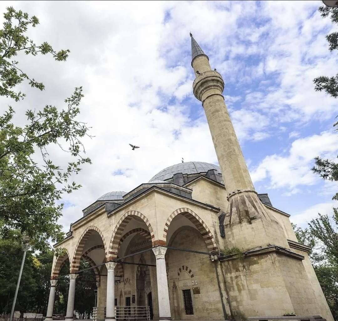 whatsapp-image-2026-02-19-at-12-07-33