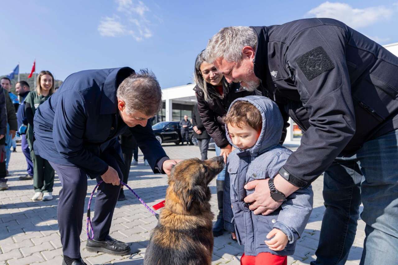 2-03-2026-f2dda928-ae7a-45b6-9f2d-266af6868024