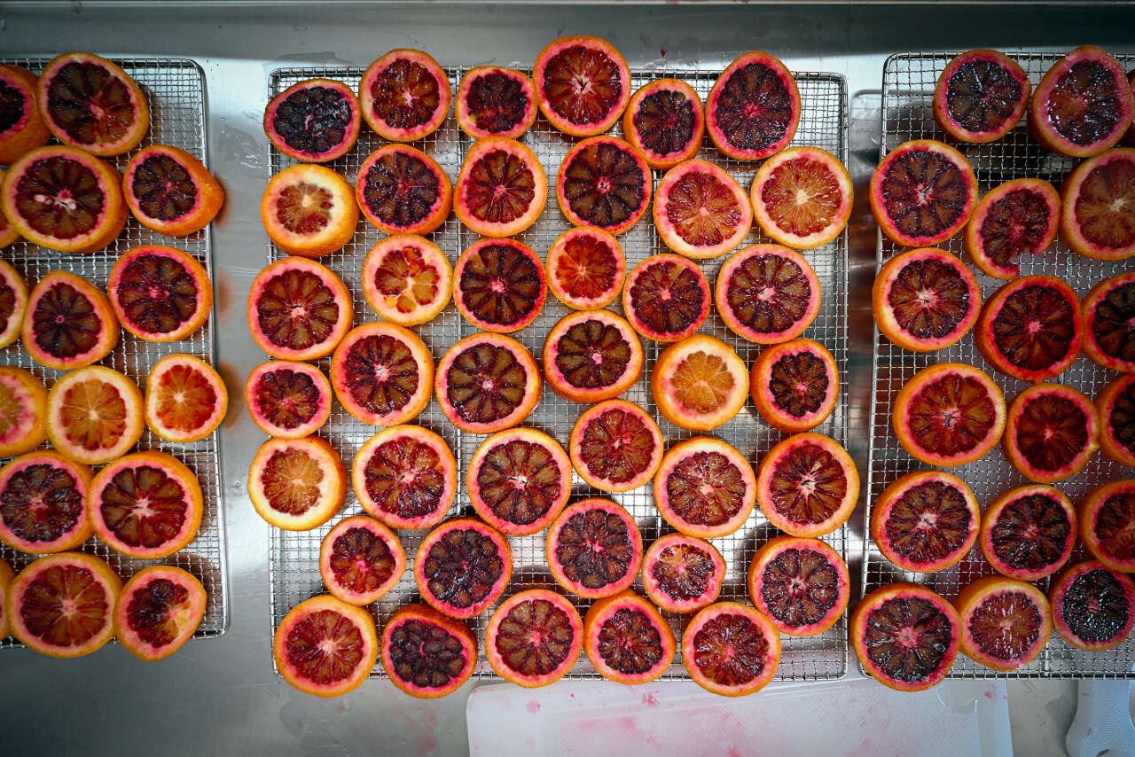 mersin-buyuksehir-cografi-isaretli-kan-portakalini-kadin-emegi-ile-gelecege-tasiyor-2