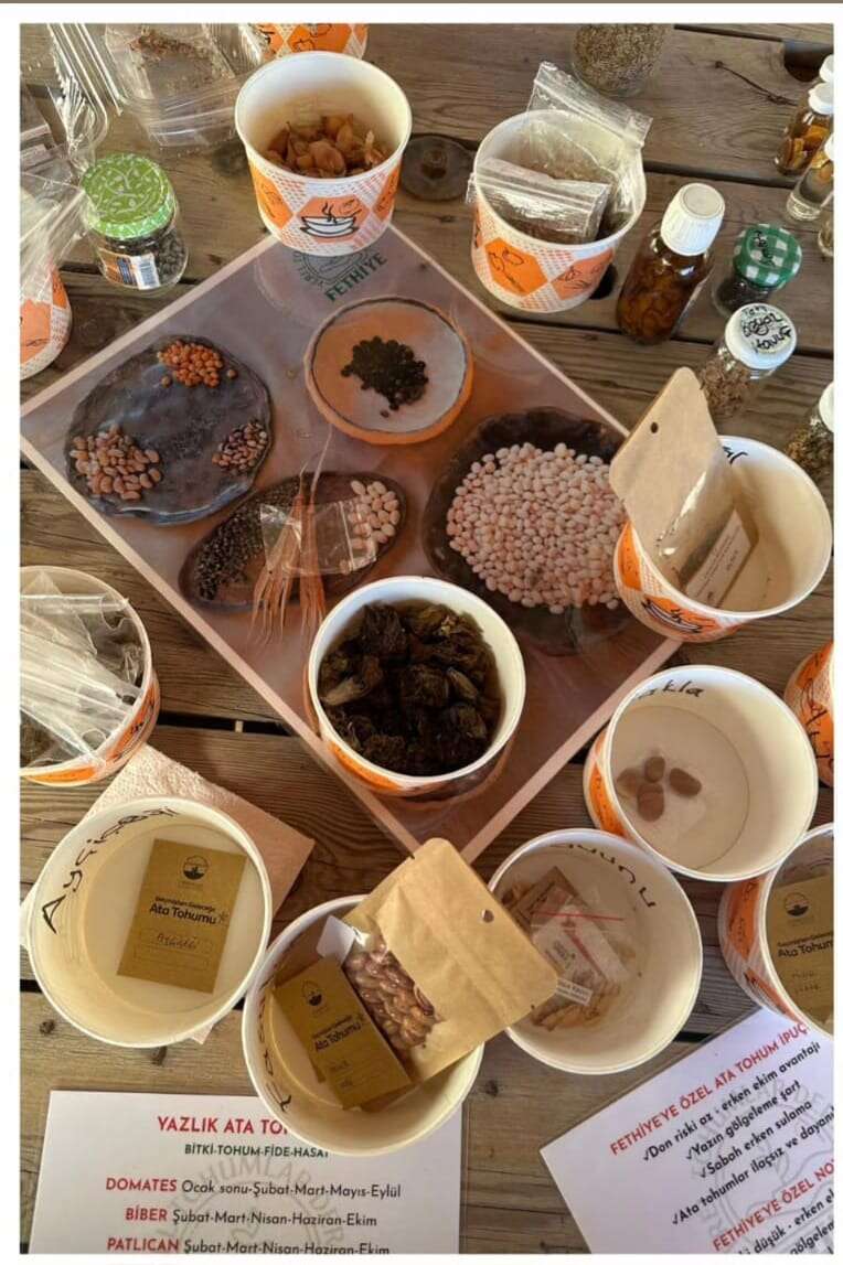 whatsapp-image-2026-03-01-at-15-19-50-1