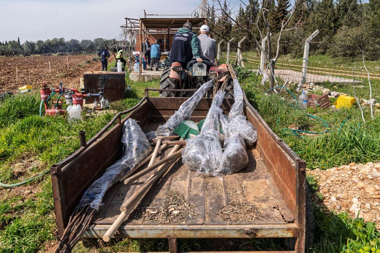 13-03-2026-1e279d07-5ea2-47ea-ba38-0fa1b5e8ff00