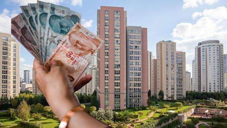 64db3598e4bfdc0eb43dc021