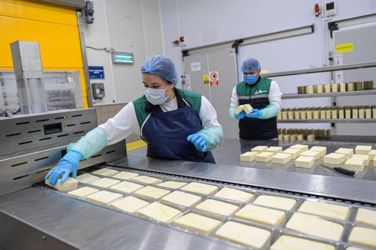 15-03-2026-23b5a0d5-d121-4a54-a4d2-b3df867b0470