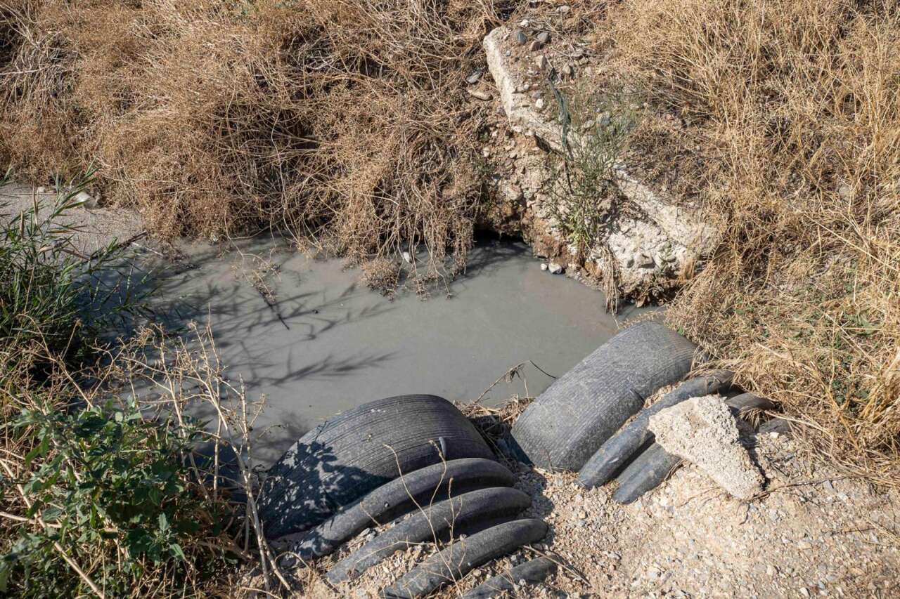 21-03-2026-d42a791f-2f81-44b5-993b-174f922bee10