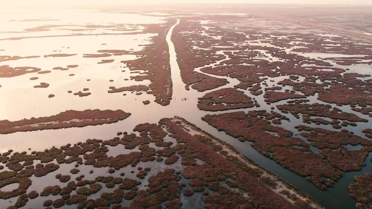 21-03-2026-eaf400a7-4db9-4216-9f7f-e08a1a79b177