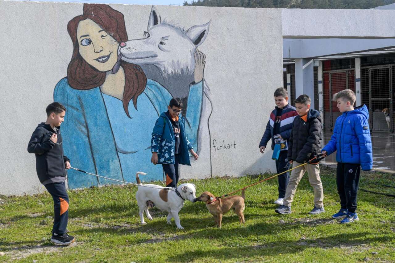 24-03-2026-b7d898fb-2562-467c-aa66-69243dfd3626