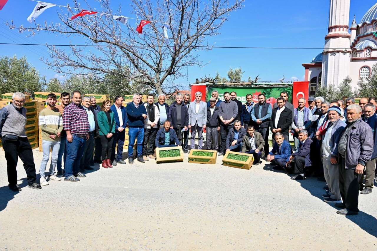 gordeste-ureticinin-yuzu-guldu-73-bin-domates-fidesi-toprakla-bulusuyor-6