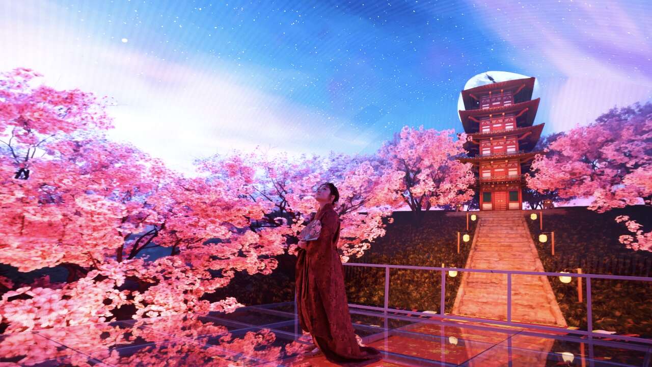 sakura