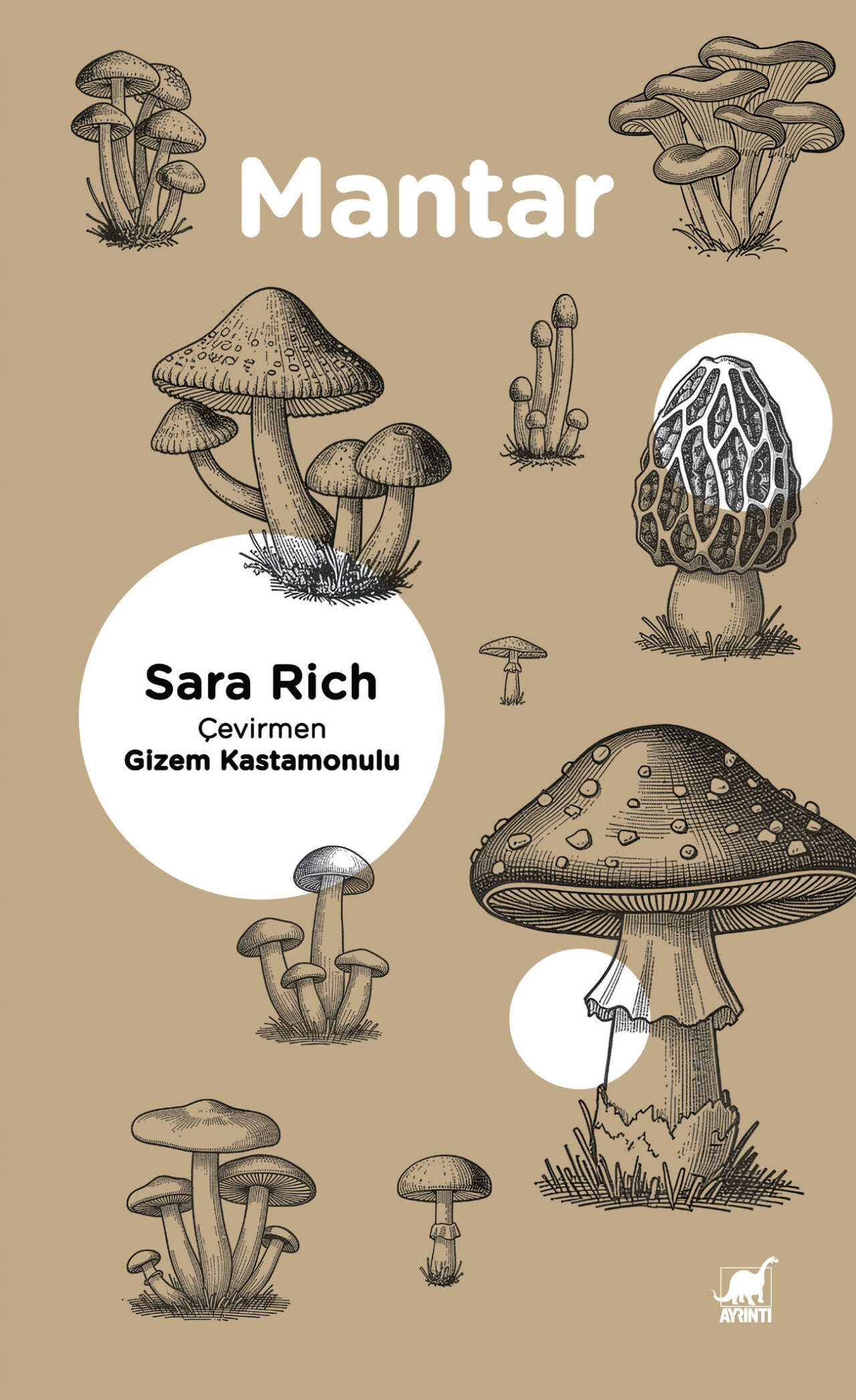 mantar-kapak