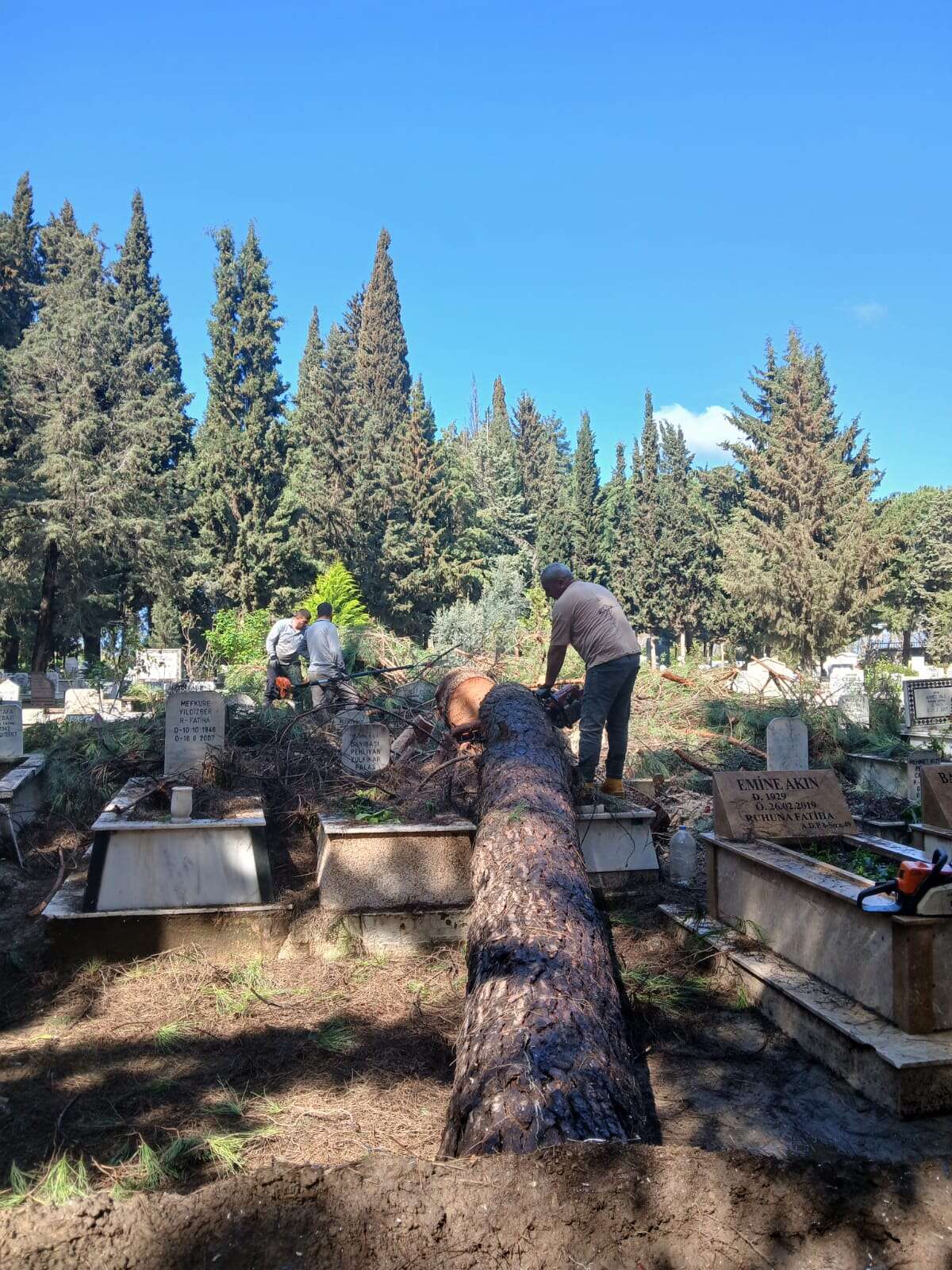 31-03-2026-aa0f83d3-9318-4deb-85f0-59ffa6e99500