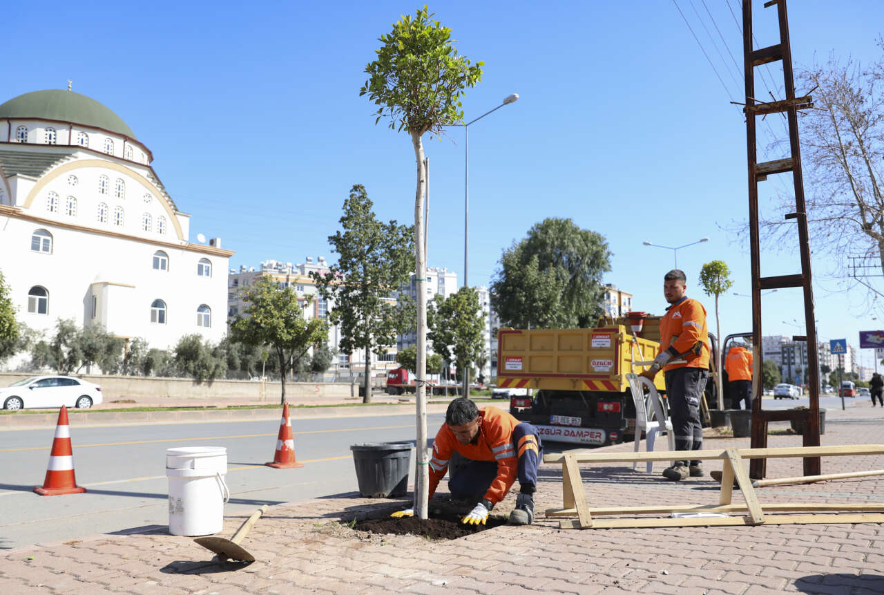 mersin-buyuksehirden-agaclandirma-kampanyasi-3