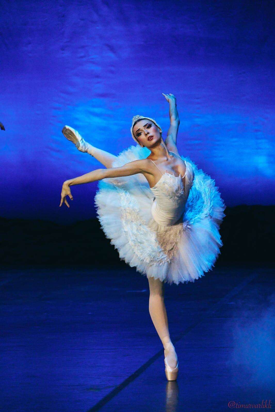 1775107590-swans3