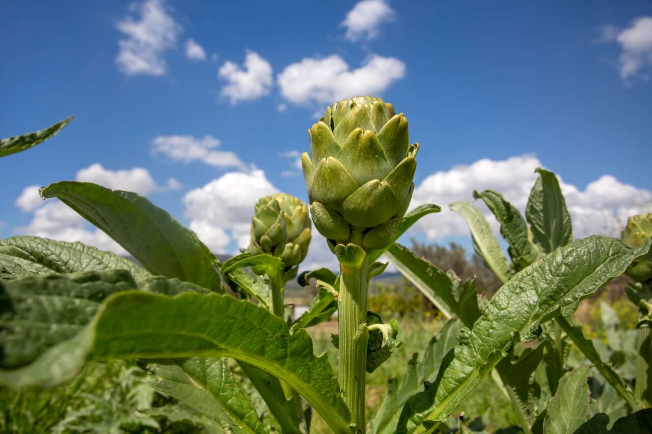 1775811508-tatilbudur-2