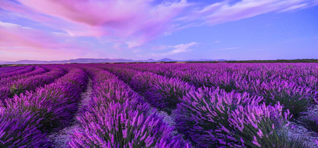 1775811529-tatilbudur-3-1