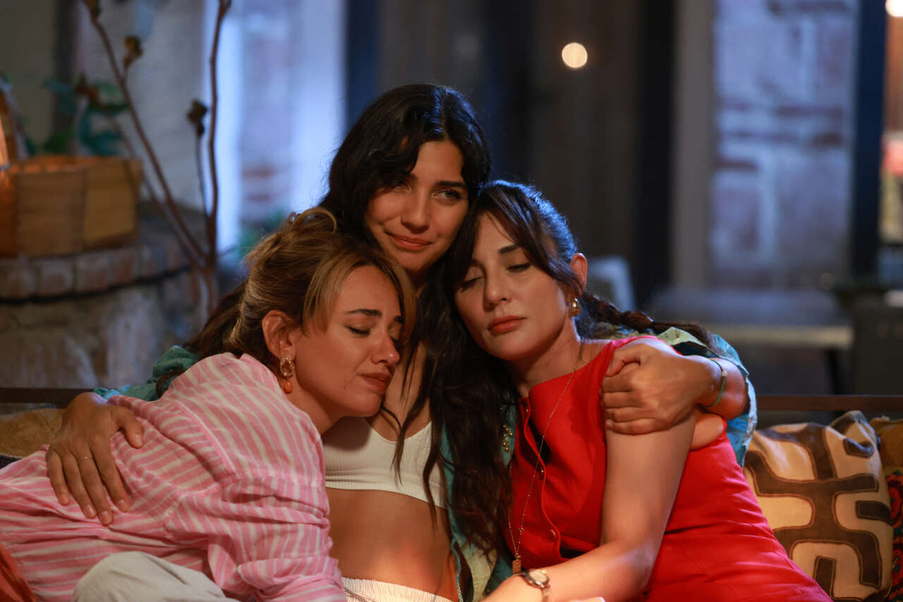 zeytin-agaci-3-sezon