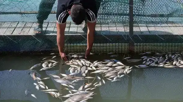 e9af32ea-12cf-4bd4-a9ad-4a1844f9130c