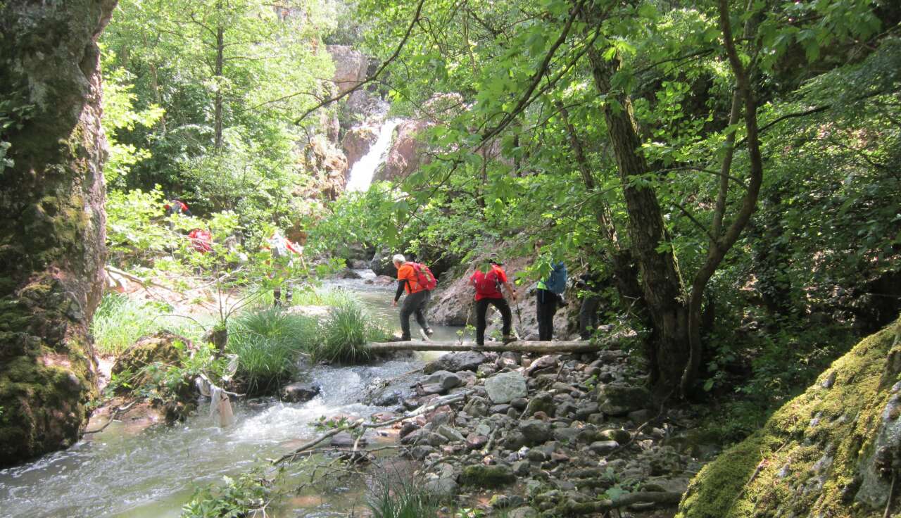 artema-yolunda-kaz-daglari-cenneti