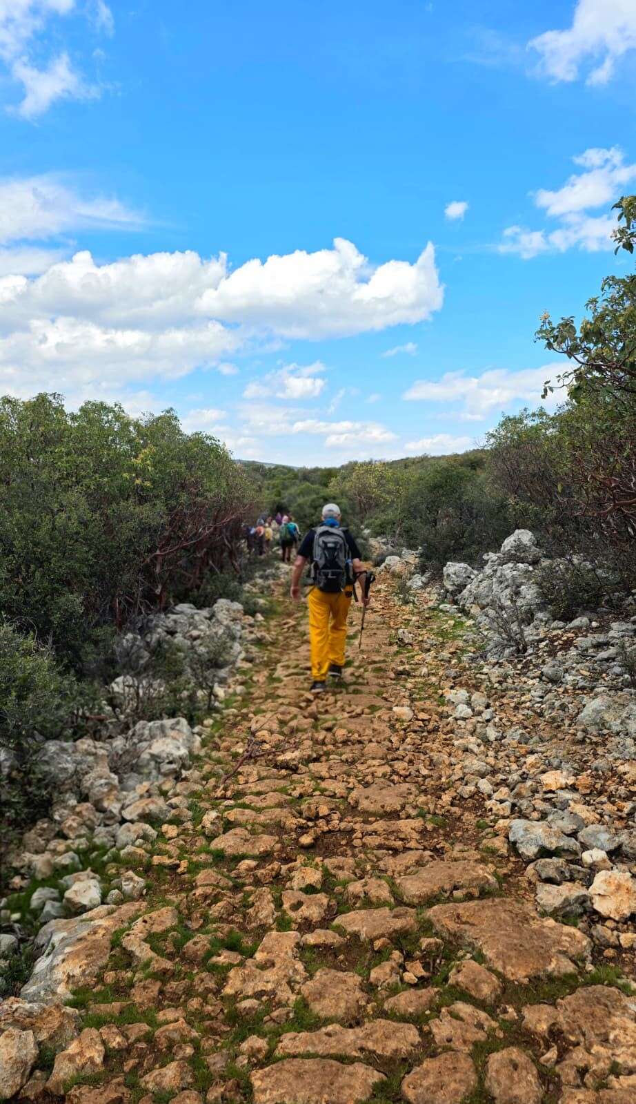 romalilarin-toros-daglarini-gecmek-icin-yaptigi-2-bin-yillik-yollar
