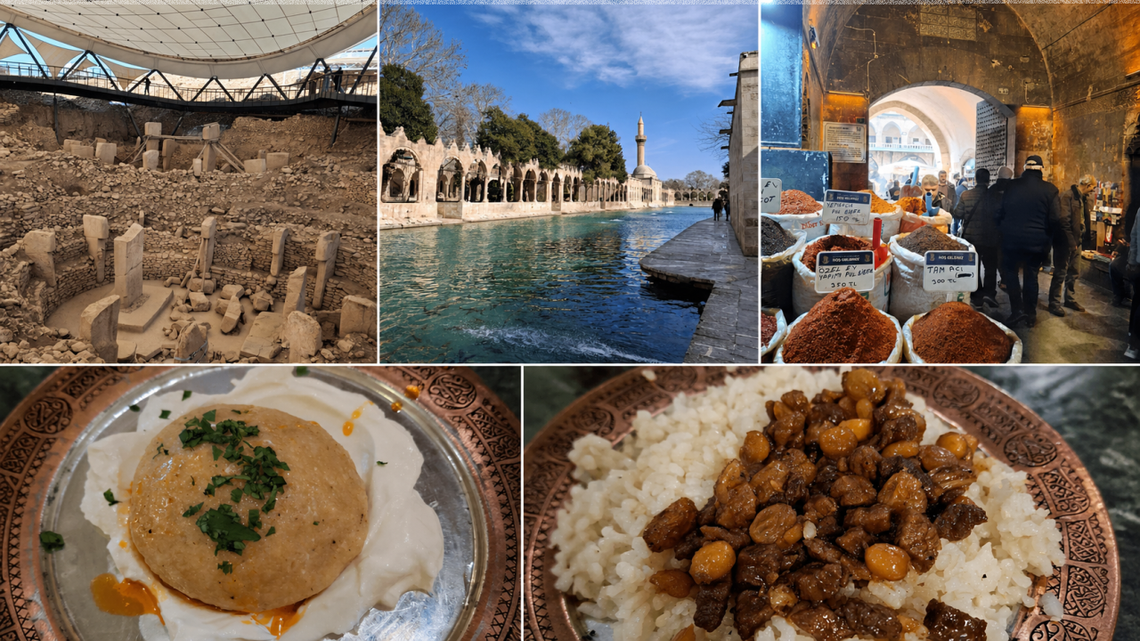 3394303b-616f-41dd-9587-16f11903f236